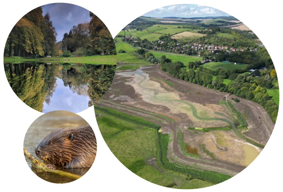 A photo montage of wildlife projects that have been funded by Veolia Environmental Trust